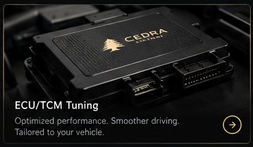 ECU and TCM Tuning